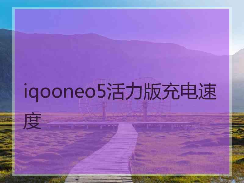 iqooneo5活力版充电速度