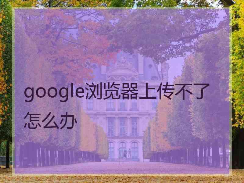 google浏览器上传不了怎么办