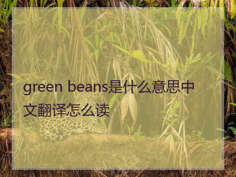 green beans是什么意思中文翻译怎么读