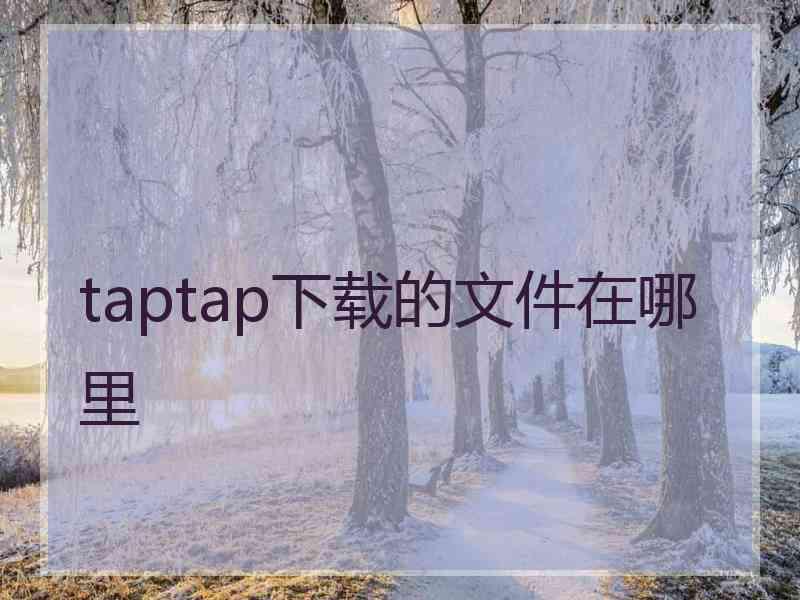 taptap下载的文件在哪里