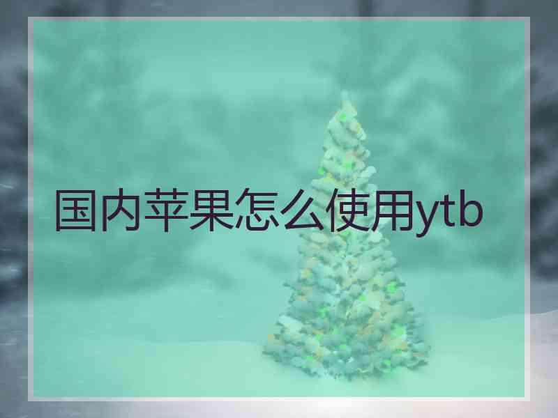 国内苹果怎么使用ytb