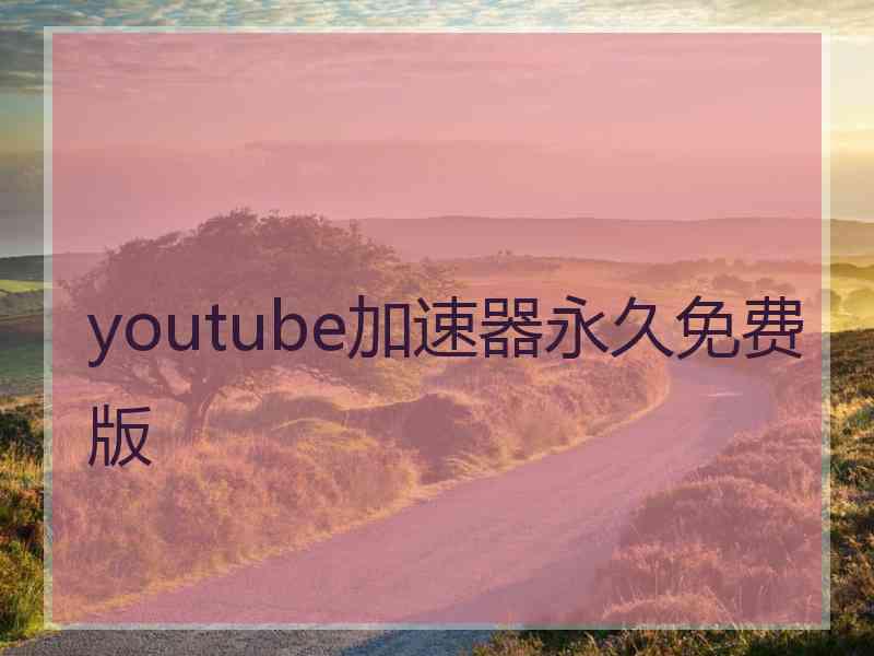 youtube加速器永久免费版