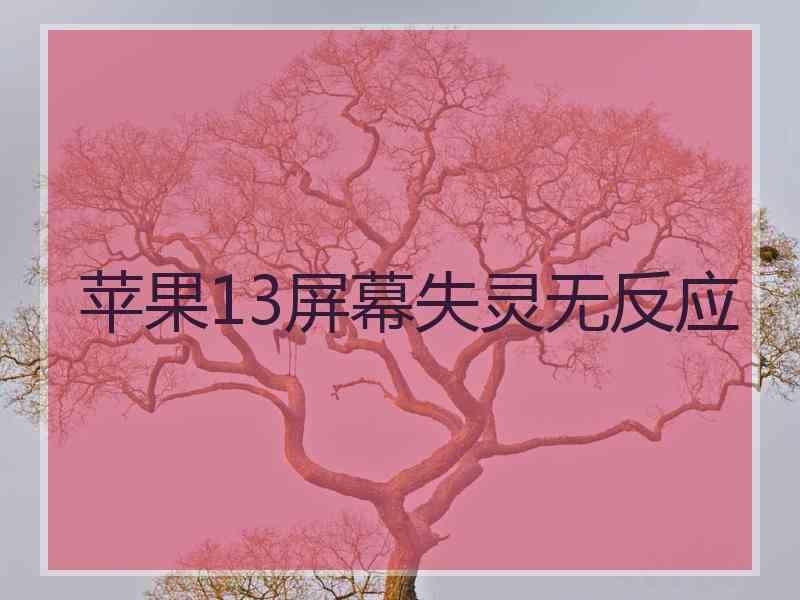 苹果13屏幕失灵无反应