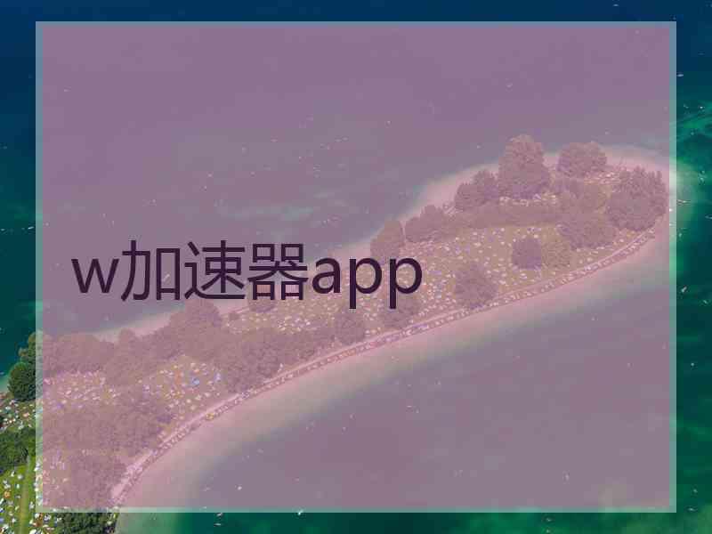 w加速器app