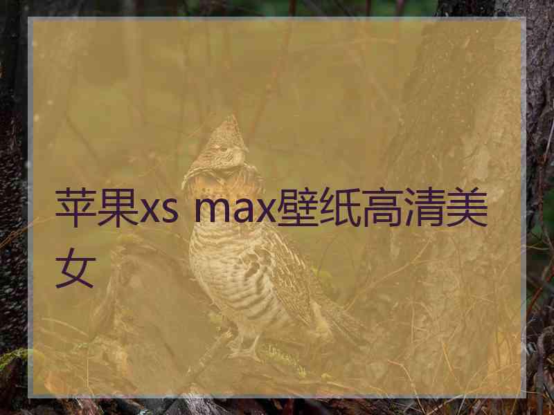 苹果xs max壁纸高清美女