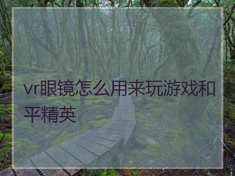 vr眼镜怎么用来玩游戏和平精英