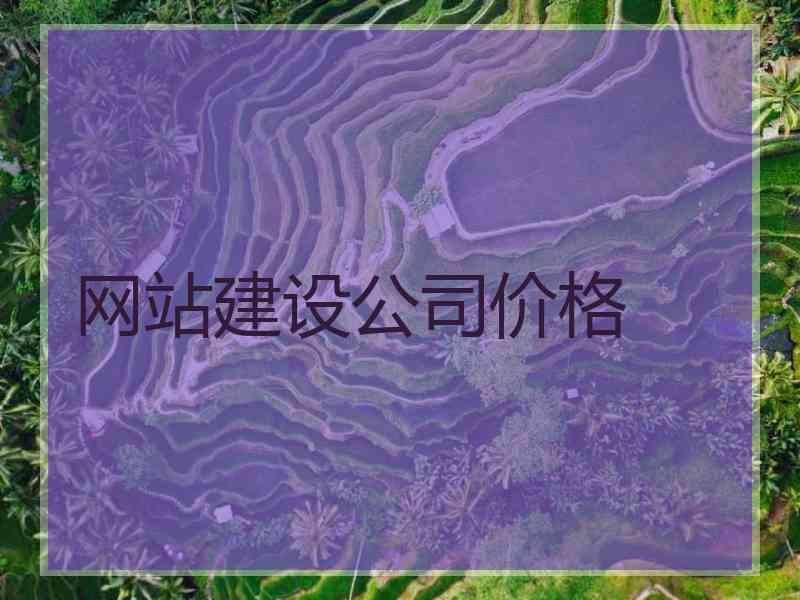 网站建设公司价格