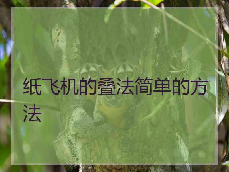 纸飞机的叠法简单的方法