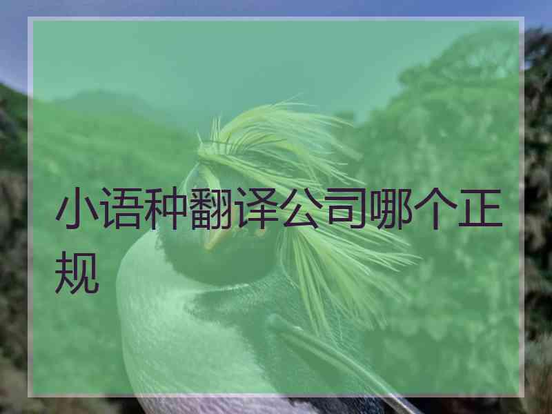 小语种翻译公司哪个正规