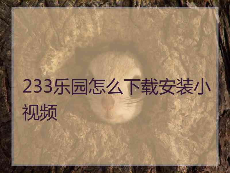 233乐园怎么下载安装小视频