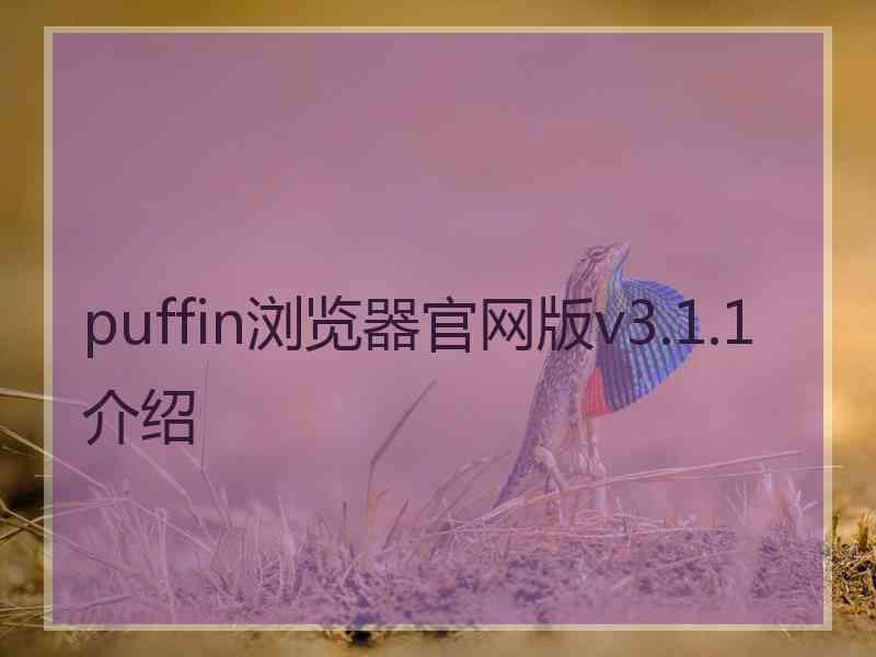 puffin浏览器官网版v3.1.1介绍