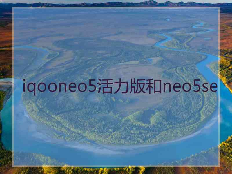 iqooneo5活力版和neo5se