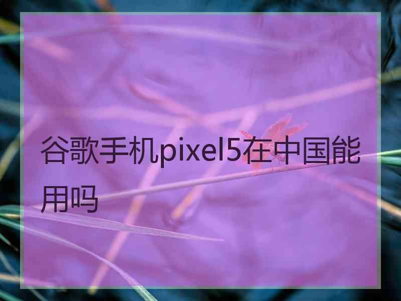 谷歌手机pixel5在中国能用吗