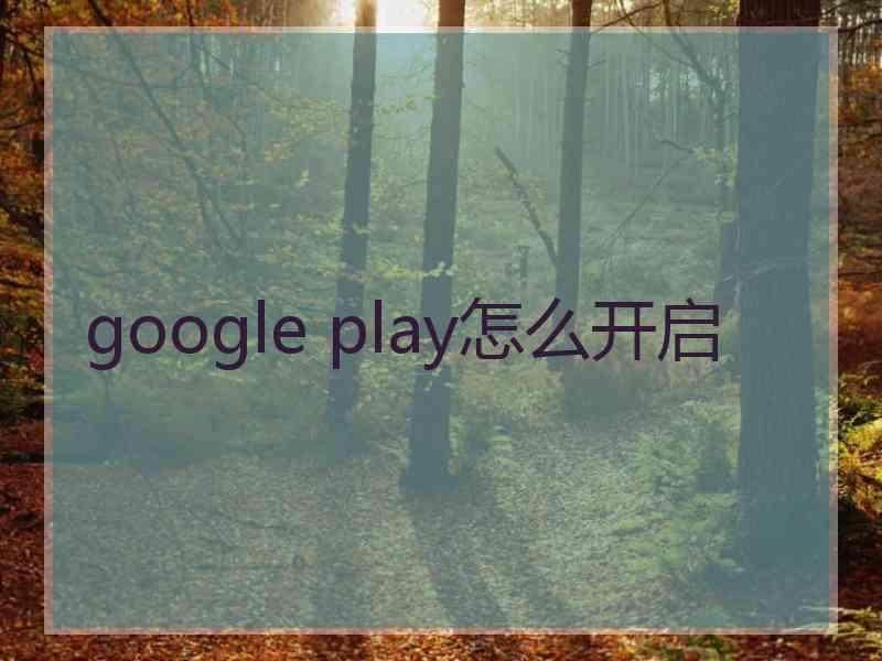 google play怎么开启