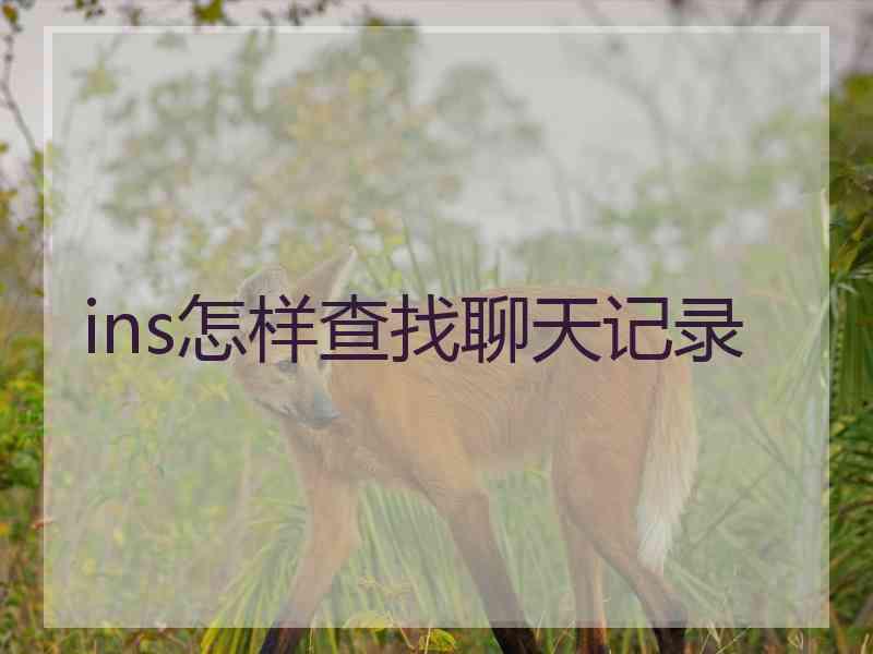 ins怎样查找聊天记录