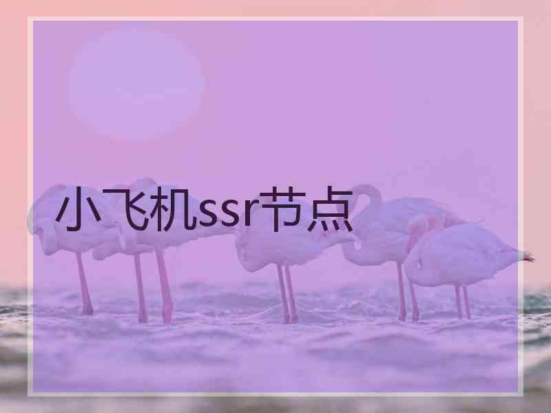 小飞机ssr节点