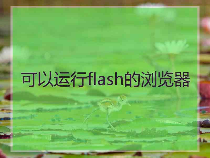 可以运行flash的浏览器