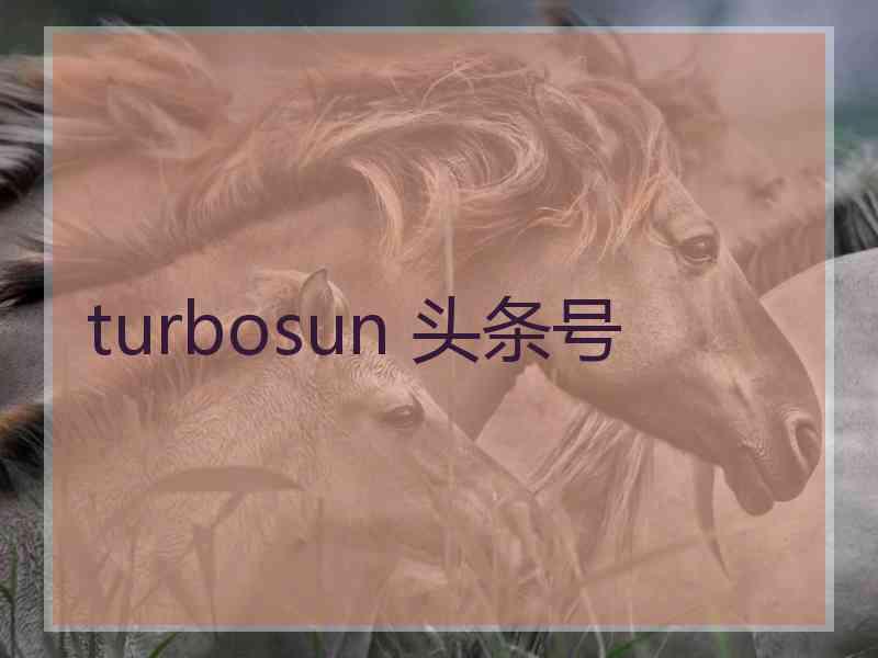 turbosun 头条号