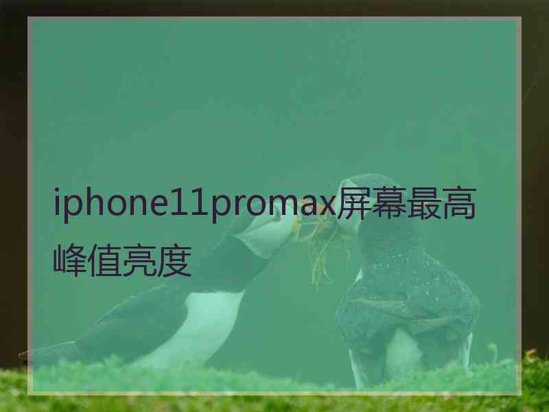 iphone11promax屏幕最高峰值亮度