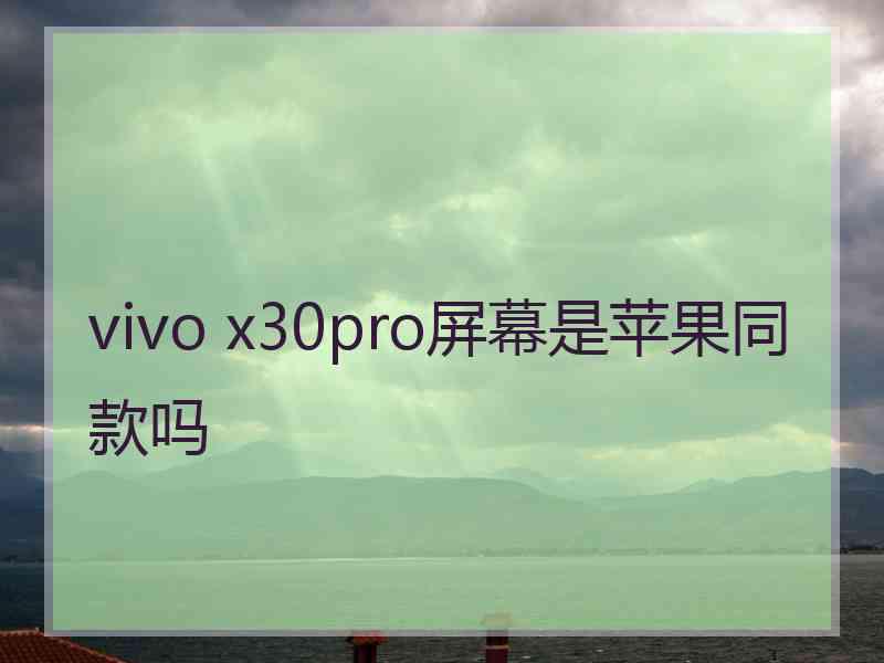 vivo x30pro屏幕是苹果同款吗