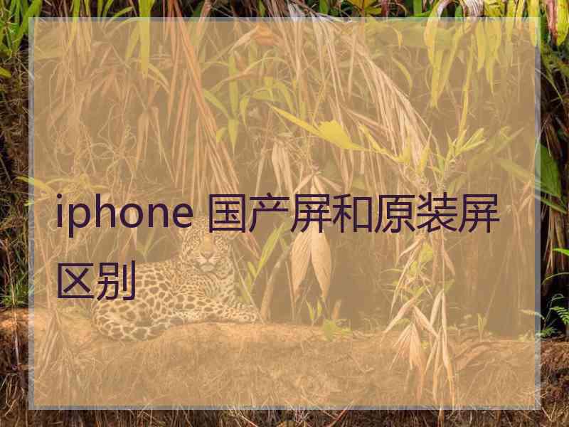 iphone 国产屏和原装屏区别