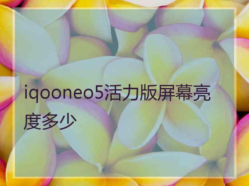 iqooneo5活力版屏幕亮度多少