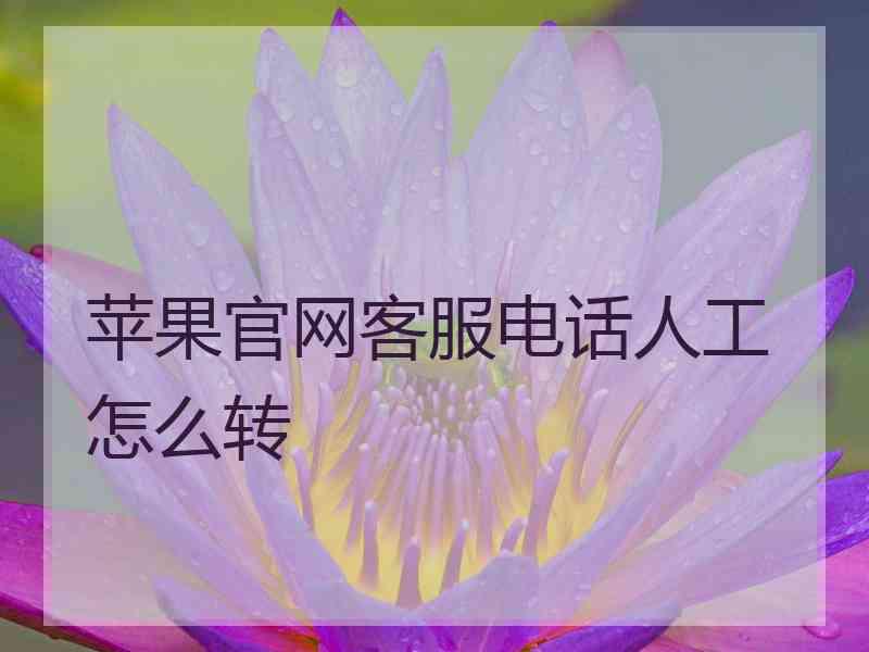 苹果官网客服电话人工怎么转