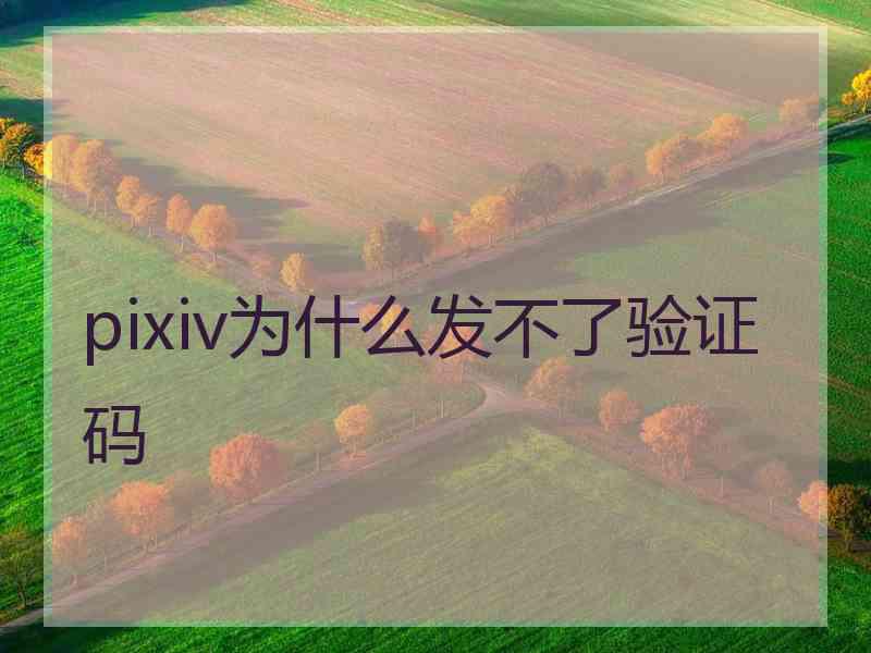 pixiv为什么发不了验证码