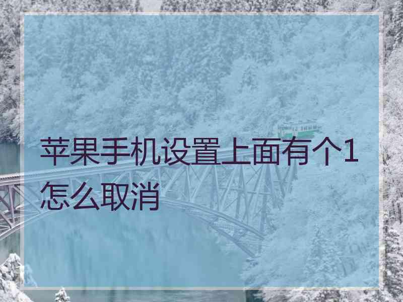 苹果手机设置上面有个1怎么取消