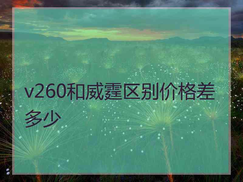 v260和威霆区别价格差多少