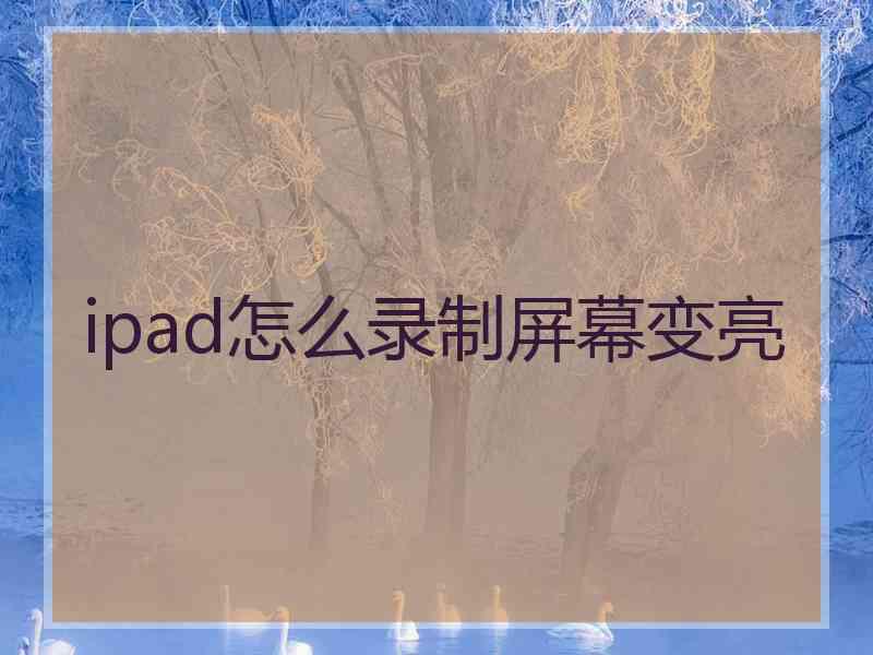 ipad怎么录制屏幕变亮