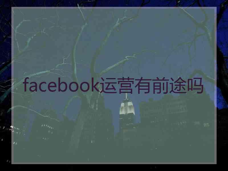 facebook运营有前途吗