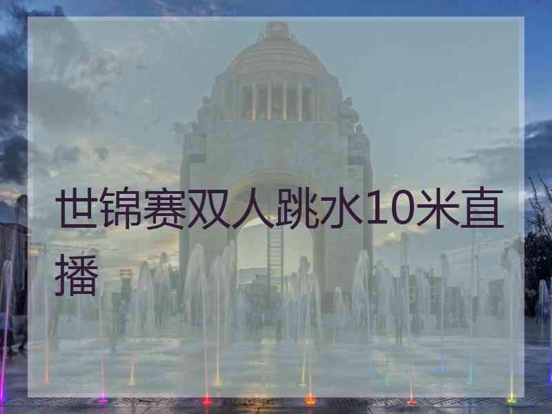 世锦赛双人跳水10米直播