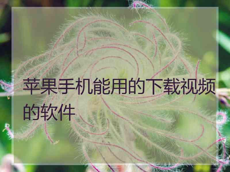 苹果手机能用的下载视频的软件