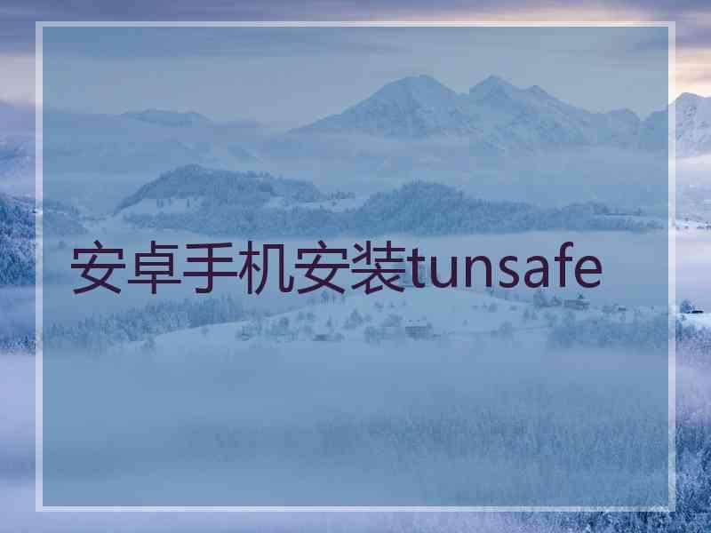 安卓手机安装tunsafe