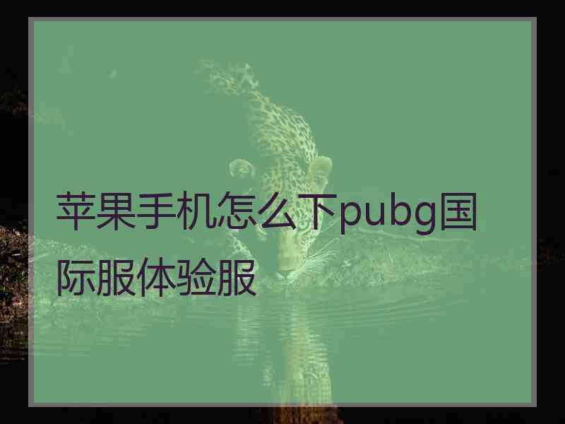 苹果手机怎么下pubg国际服体验服