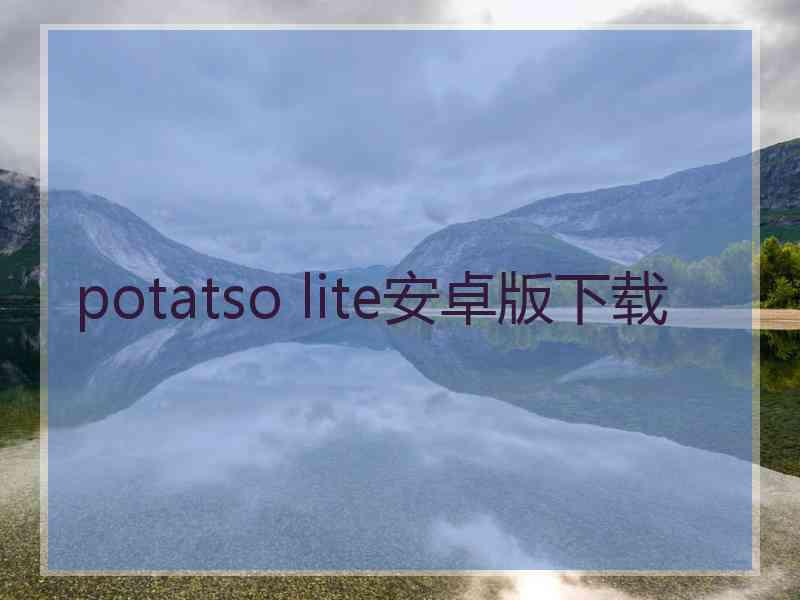 potatso lite安卓版下载