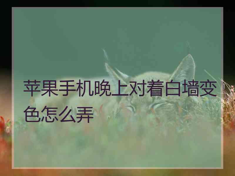 苹果手机晚上对着白墙变色怎么弄