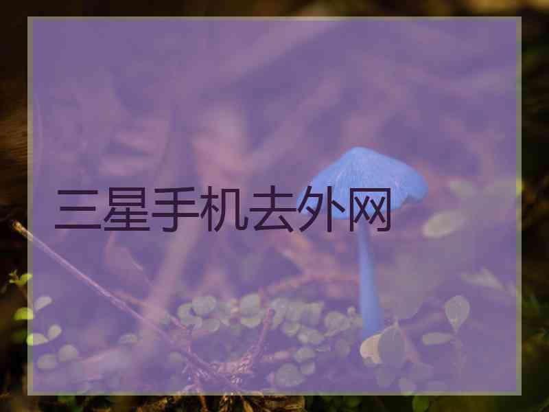 三星手机去外网