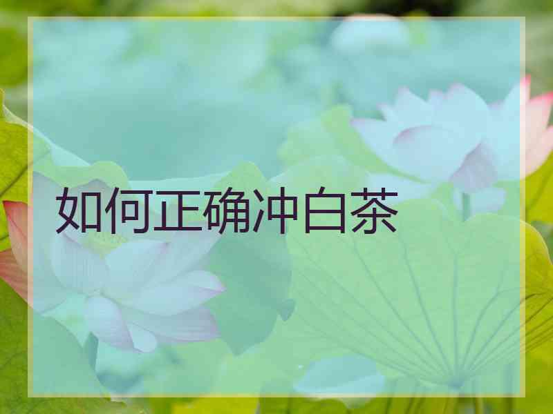 如何正确冲白茶