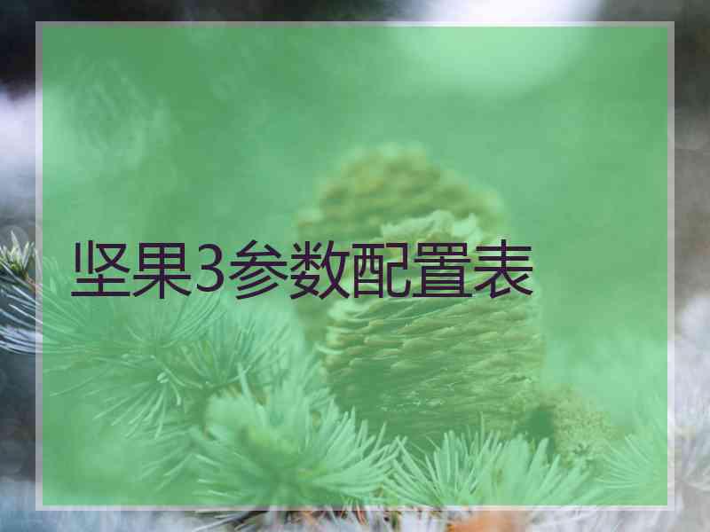 坚果3参数配置表