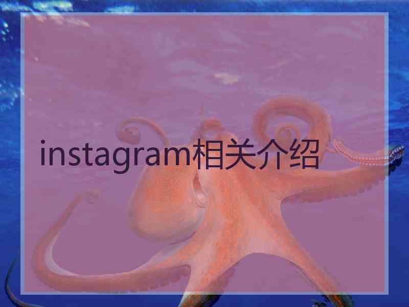 instagram相关介绍