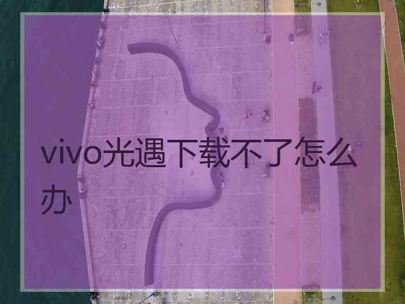 vivo光遇下载不了怎么办