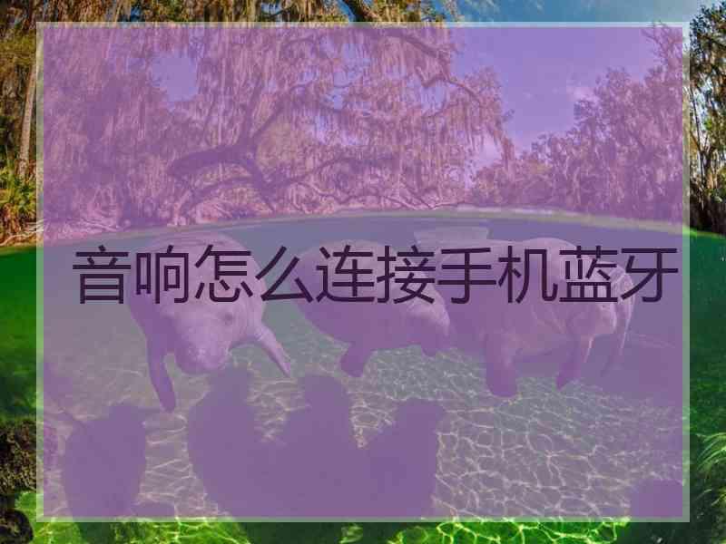 音响怎么连接手机蓝牙