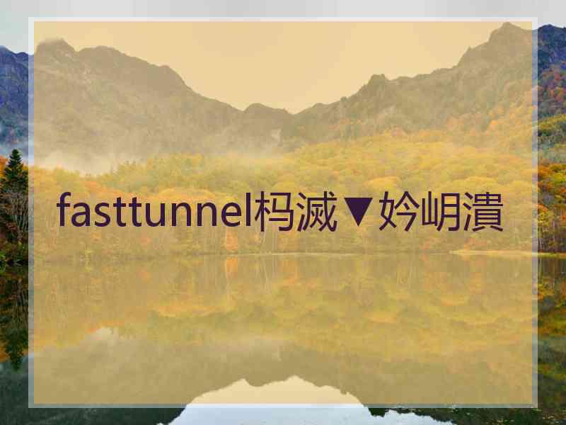 fasttunnel杩滅▼妗岄潰