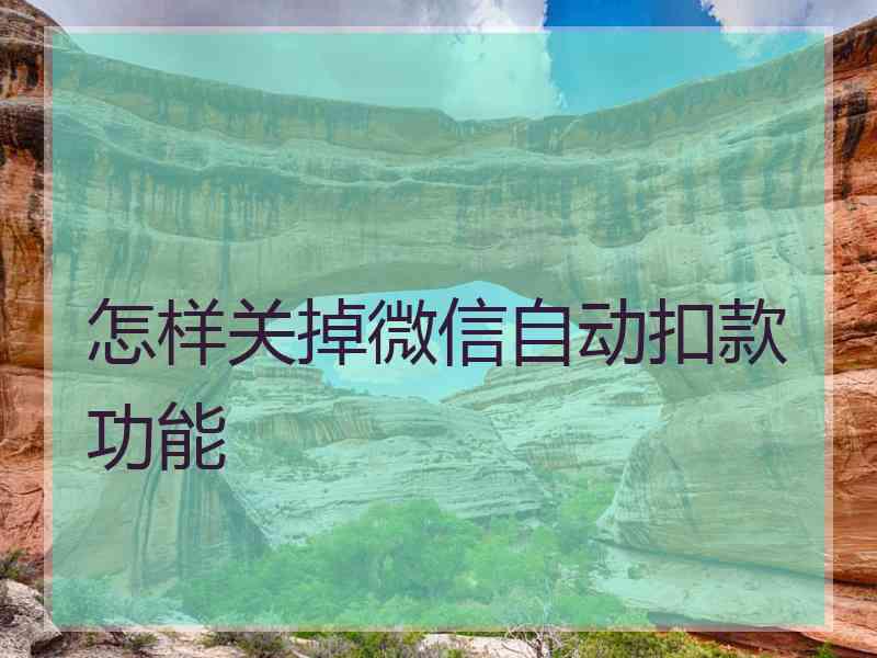 怎样关掉微信自动扣款功能