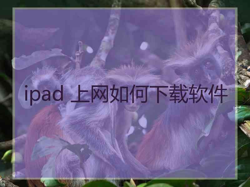 ipad 上网如何下载软件