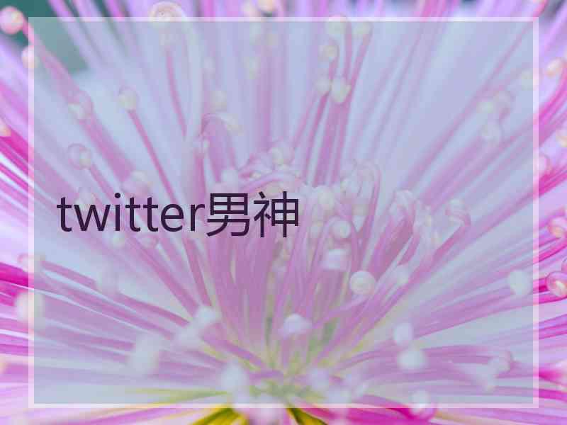 twitter男神