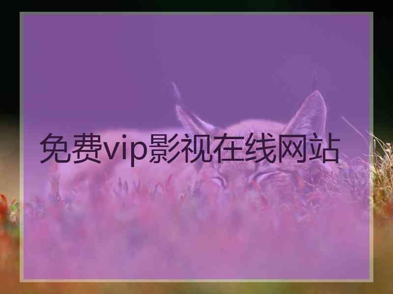 免费vip影视在线网站