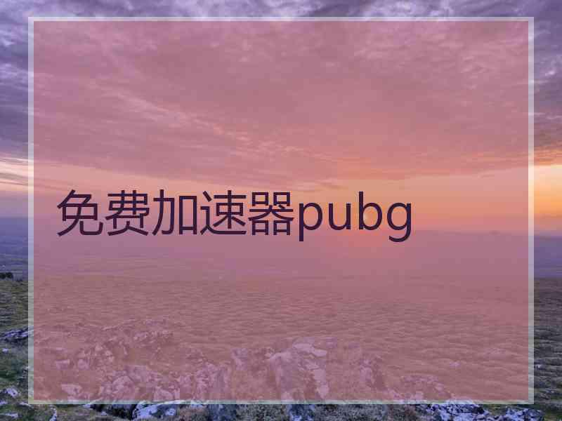 免费加速器pubg